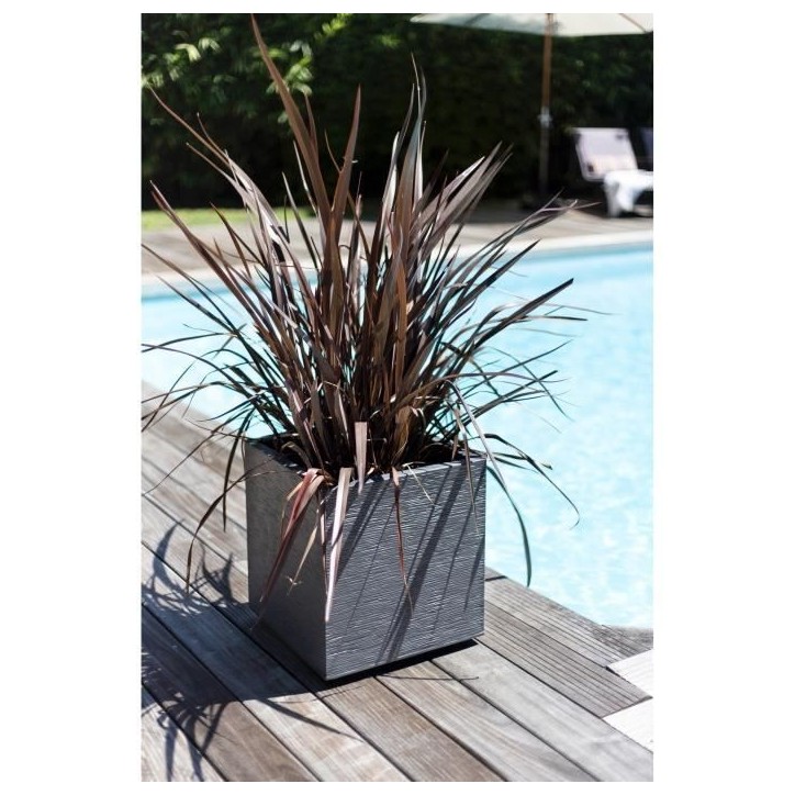 Bac a fleurs Carré 50 cm - EDA - Graphit - 57 L - 49,5 x 49,5 x H. 49,5 cm - Gris Anthracite Bac a fleurs Carré 50 cm - EDA - Graphit - 57 L - 49,5 x 49,5 x H. 49,5 cm - Gris Anthracite