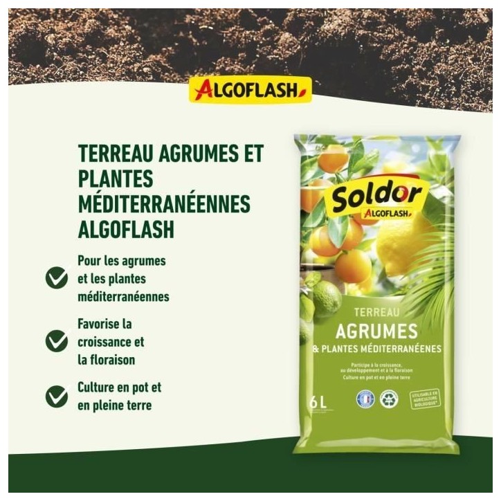 ALGOFLASH - Terreau Agrumes et Plantes Méditerranéennes 6 L ALGOFLASH - Terreau Agrumes et Plantes Méditerranéennes 6 L