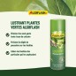 ALGOFLASH - Lustrant Plantes Vertes 250 mL