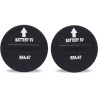 PetSafe - Lot de 2 Piles RFA-67 (6V) - Compatible Collier de Dressage,