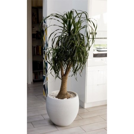 Pot de fleurs Rond Egg Ø 50cm - EDA - Graphit - 46 L - Ø 50 x H. 45 cm - Blanc cérusé