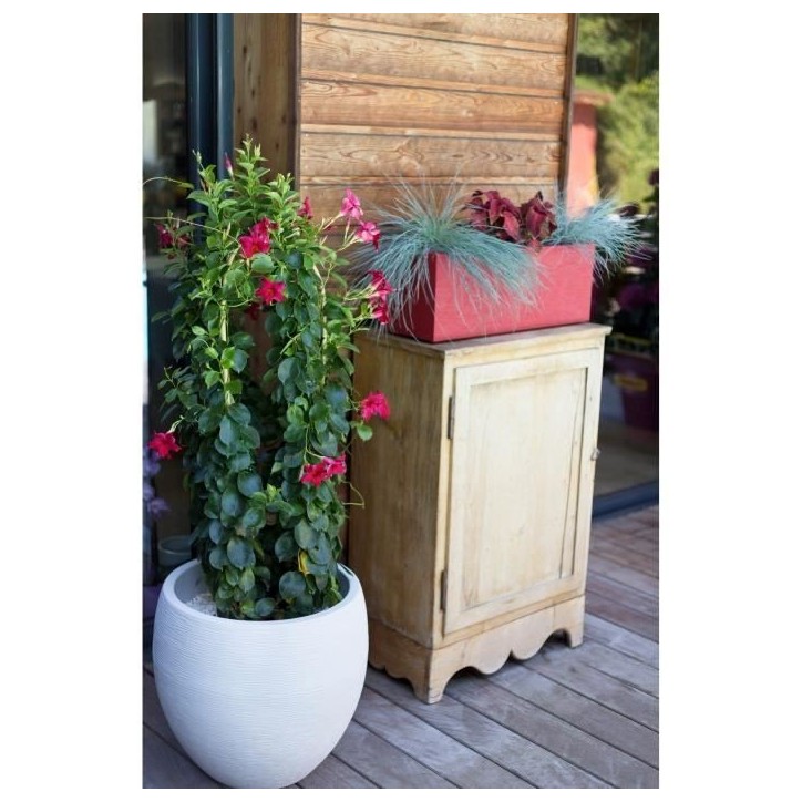 Pot de fleurs Rond Egg Ø 50cm - EDA - Graphit - 46 L - Ø 50 x H. 45 cm - Blanc cérusé Pot de fleurs Rond Egg Ø 50cm - EDA - Graphit - 46 L - Ø 50 x H. 45 cm - Blanc cérusé