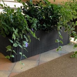 STEFANPLAST Bac a fleurs/Jardiniere rectangulaire NATURAL DELUX - 100x