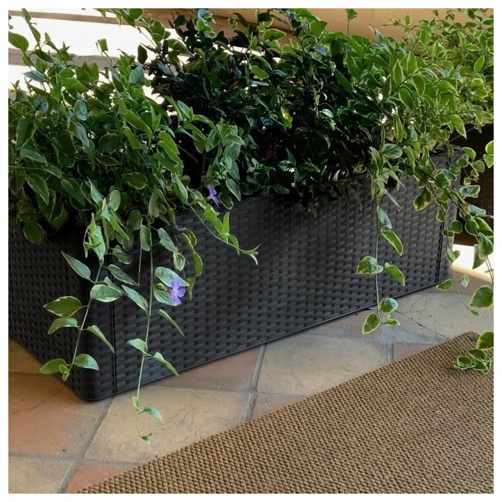 STEFANPLAST Bac a fleurs/Jardiniere rectangulaire NATURAL DELUX - 100x43xH33cm - 90 + 6,5L dans la réserve - Anthracite STEFANPLAST Bac a fleurs/Jardiniere rectangulaire NATURAL DELUX - 100x43xH33cm - 90 + 6,5L dans la réserve - Anthracite
