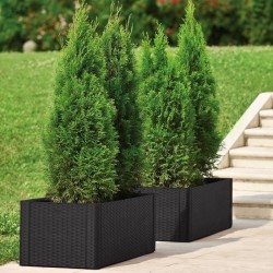 STEFANPLAST Bac a fleurs/Jardiniere rectangulaire NATURAL DELUX - 100x