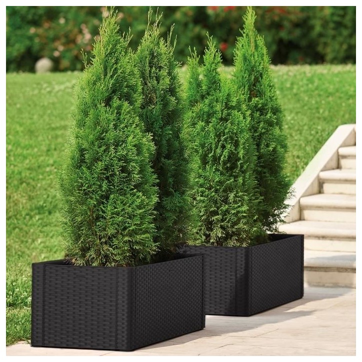 STEFANPLAST Bac a fleurs/Jardiniere rectangulaire NATURAL DELUX - 100x43xH33cm - 90 + 6,5L dans la réserve - Anthracite STEFANPLAST Bac a fleurs/Jardiniere rectangulaire NATURAL DELUX - 100x43xH33cm - 90 + 6,5L dans la réserve - Anthracite