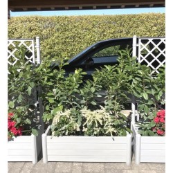 STEFANPLAST Bac a fleurs rectangulaire - ITALIA - Finition effet bois