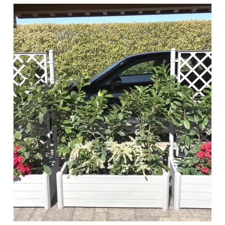 STEFANPLAST Bac a fleurs rectangulaire - ITALIA - Finition effet bois - 100x43xH35cm - 80L - Blanc STEFANPLAST Bac a fleurs rectangulaire - ITALIA - Finition effet bois - 100x43xH35cm - 80L - Blanc