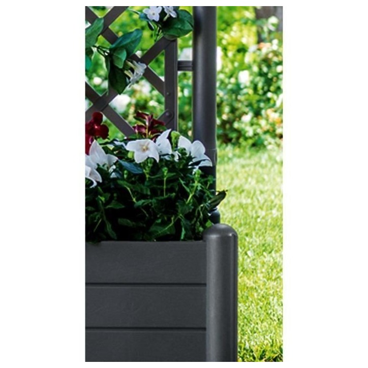STEFANPLAST Bac a fleur carré ITALIA avec treillis - 30L - Plastique - 43x43x142h cm - Anthracite STEFANPLAST Bac a fleur carré ITALIA avec treillis - 30L - Plastique - 43x43x142h cm - Anthracite