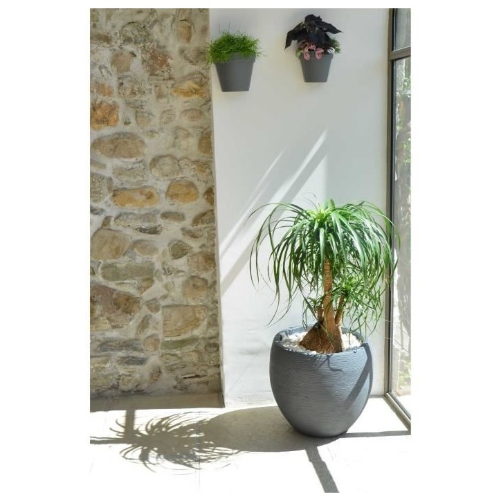 Pot de fleurs Rond Egg Ø 50cm - EDA - Graphit - 46 L - Ø 50 x H. 45 cm - Gris Anthracite Pot de fleurs Rond Egg Ø 50cm - EDA - Graphit - 46 L - Ø 50 x H. 45 cm - Gris Anthracite