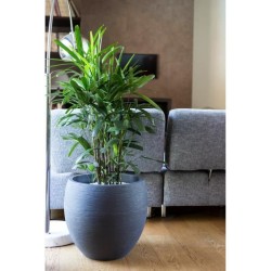 Pot de fleurs Rond Egg Ø 50cm - EDA - Graphit - 46 L - Ø 50 x H. 45