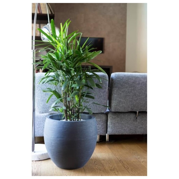 Pot de fleurs Rond Egg Ø 50cm - EDA - Graphit - 46 L - Ø 50 x H. 45 cm - Gris Anthracite Pot de fleurs Rond Egg Ø 50cm - EDA - Graphit - 46 L - Ø 50 x H. 45 cm - Gris Anthracite