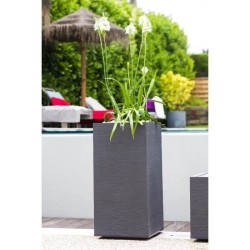 Bac a fleurs Carré Haut 40 cm - EDA - Graphit - 31 L - 39,5 x 39,5 x