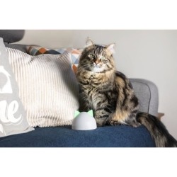 Sure Petcare Hub - Blanc - Compatible avec les produits Connect Sure P