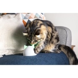 Sure Petcare Hub - Blanc - Compatible avec les produits Connect Sure P