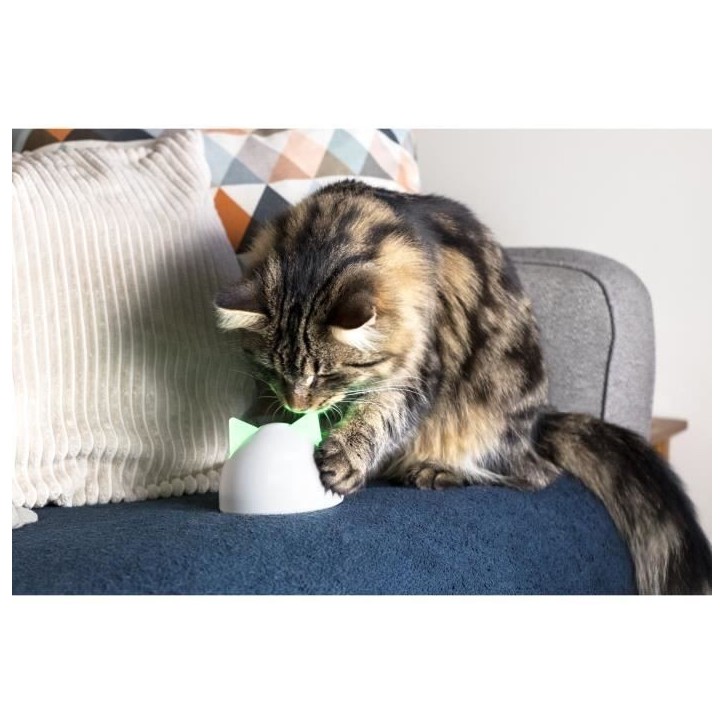 Sure Petcare Hub - Blanc - Compatible avec les produits Connect Sure Petcare (Mémorisation d'un maximum de 10 produits Connect)