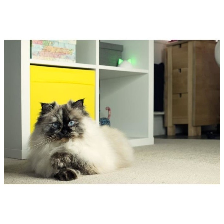 Sure Petcare Hub - Blanc - Compatible avec les produits Connect Sure Petcare (Mémorisation d'un maximum de 10 produits Connect)