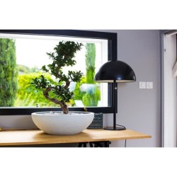 Vasque Ø 59 cm - EDA - Graphit UP - 39 L - Ø 59 x H. 21 cm - Blanc c
