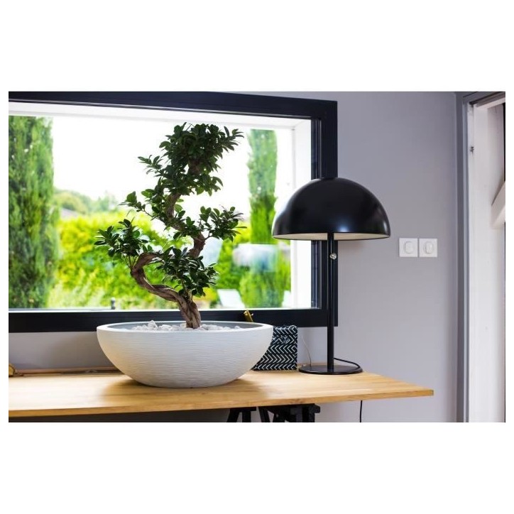Vasque Ø 59 cm - EDA - Graphit UP - 39 L - Ø 59 x H. 21 cm - Blanc cérusé
