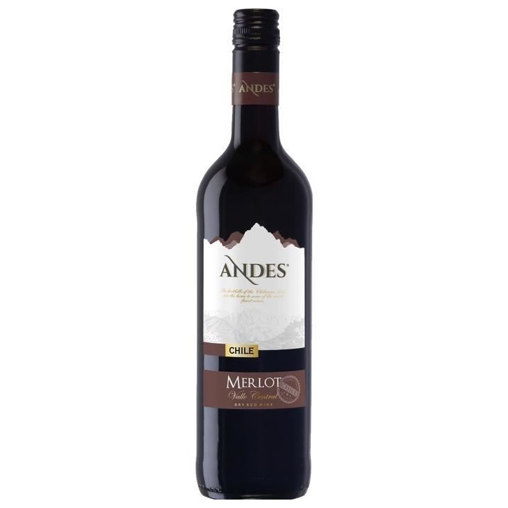 Andes Valle Central 2021 Merlot - Vin rouge d'Italie