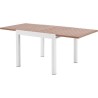 Table de jardin extensible - Rectangulaire - Aspect bois - Aluminium -