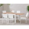 Table de jardin extensible - Rectangulaire - Aspect bois - Aluminium -