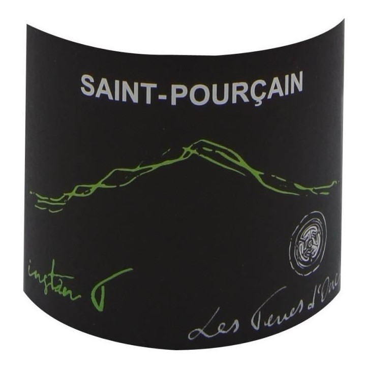 Domaine Les Terres d'Ocre Cuvée L'Instan T 2023 Saint Pourçain - Vin blanc de Loire - Bio