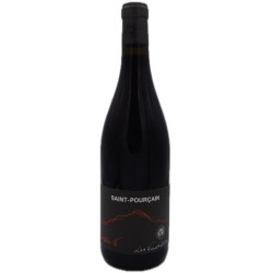 Domaine Les Terres d'Ocre Cuvée L'Instan T 2022 Saint Pourçain - Vin