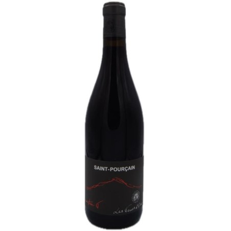 Domaine Les Terres d'Ocre Cuvée L'Instan T 2022 Saint Pourçain - Vin