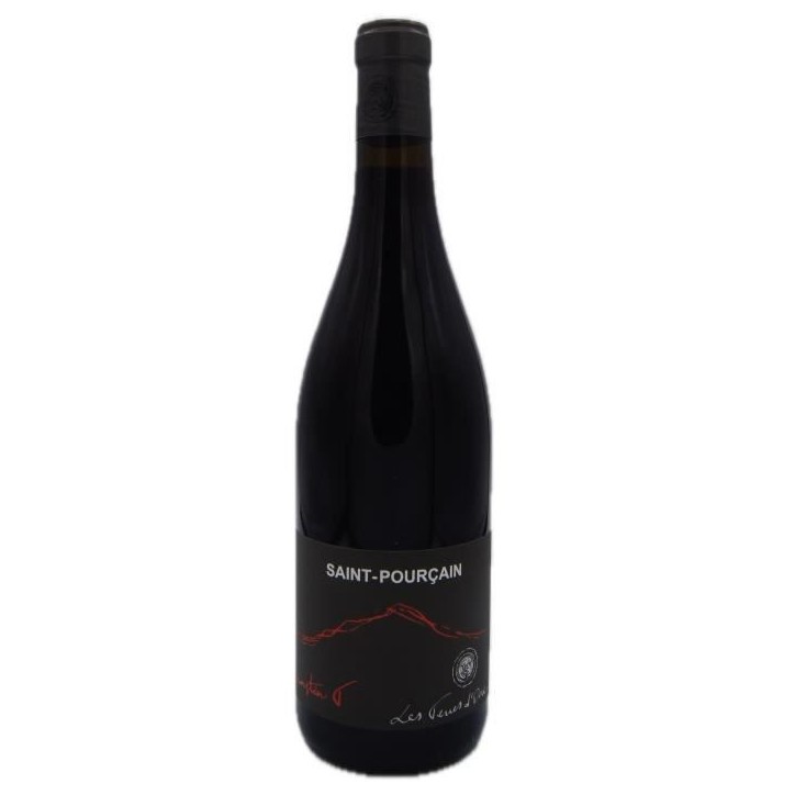 Domaine Les Terres d'Ocre Cuvée L'Instan T 2022 Saint Pourçain - Vin rouge de Loire - Bio