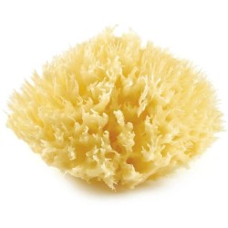 Eponge de mer - THERMOBABY - HONEYCOMB - Naturelle, durable et douce -