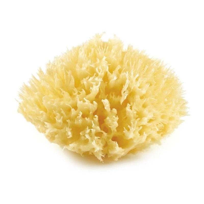 Eponge de mer - THERMOBABY - HONEYCOMB - Naturelle, durable et douce - Eponge de mer - THERMOBABY - HONEYCOMB - Naturelle, durable et douce -