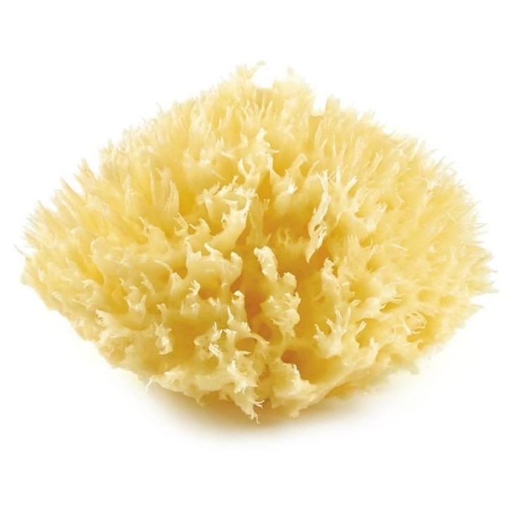 Eponge de mer - THERMOBABY - HONEYCOMB - Naturelle, durable et douce - Jaune