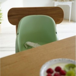 Rehausseur de chaise THERMOBABY Tudi - de 6 a 36 mois - Harnais de sé