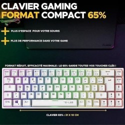 Clavier Gamer sans fil - The G-Lab - KEYZ TITAN - Mécanique (Switch R