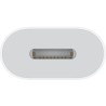 Adaptateur USB-C vers lightning Apple original