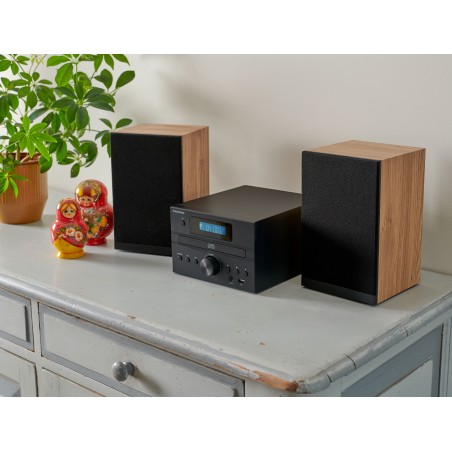 Micro Chaîne - THOMSON - Bluetooth - Radio - CD - MP3 - USB - DAB - Bois et noir
