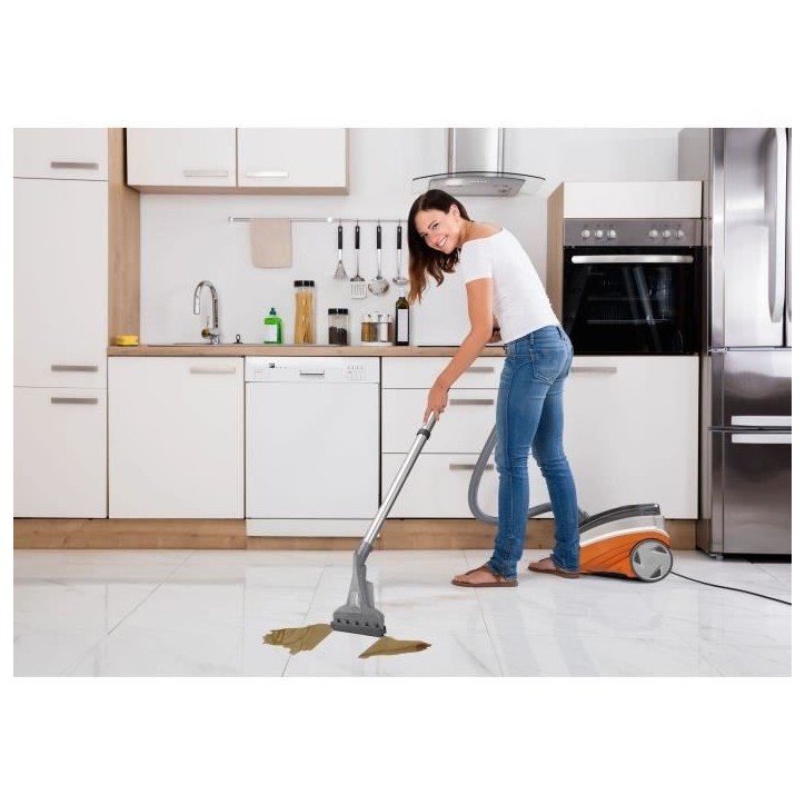 Aspirateur Détacheur 2 en 1 - THOMAS Aquatic Breeze - Aspiration puissante et Systeme de détachage efficace Aspirateur Détacheur 2 en 1 - THOMAS Aquatic Breeze - Aspiration puissante et Systeme de détachage efficace
