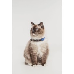 Répulsif ultrason chat - TICKLESS MINI CAT - Protection tiques et puc