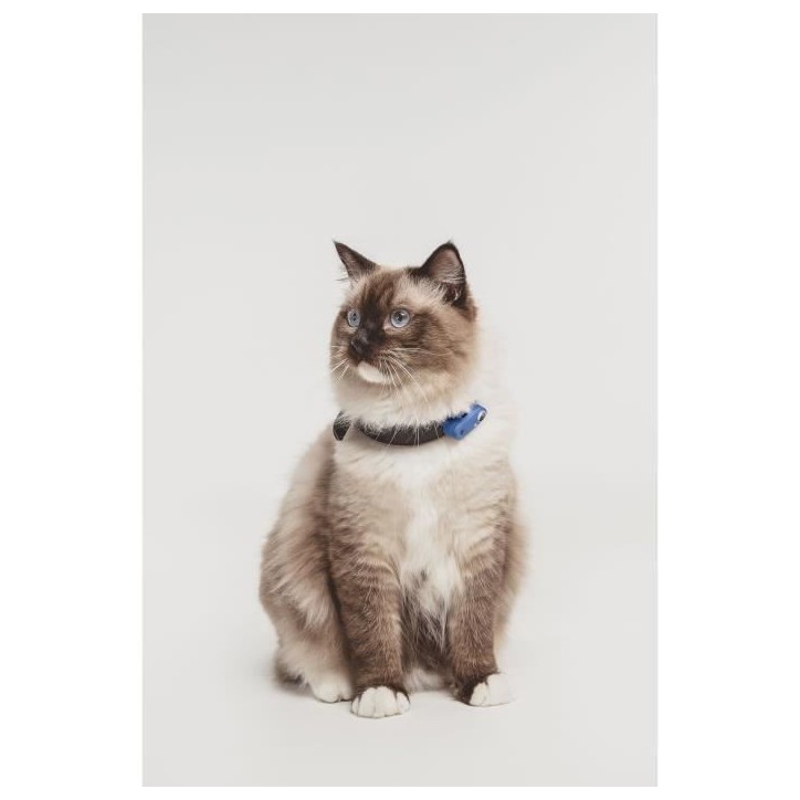Répulsif ultrason chat - TICKLESS MINI CAT - Protection tiques et puces - Greek Blue