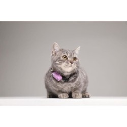 Répulsif ultrason chat - TICKLESS MINI CAT - Protection tiques et puc