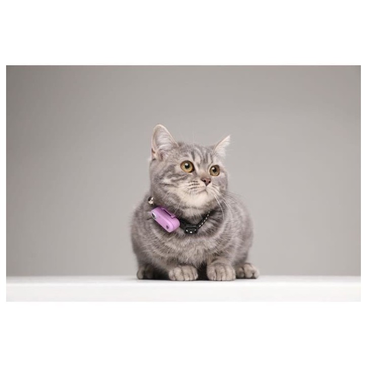 Répulsif ultrason chat - TICKLESS MINI CAT - Protection tiques et puces - Organ Purple Répulsif ultrason chat - TICKLESS MINI CAT - Protection tiques et puces - Organ Purple