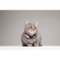 Répulsif ultrason chat - TICKLESS MINI CAT - Protection tiques et puces - Organ Purple