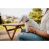 Répulsif ultrason chien - TICKLESS MINI DOG&CAT - Protection tiques e