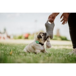 Répulsif ultrason chien - TICKLESS MINI DOG&CAT - Protection tiques e