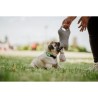 Répulsif ultrason chien - TICKLESS MINI DOG&CAT - Protection tiques e