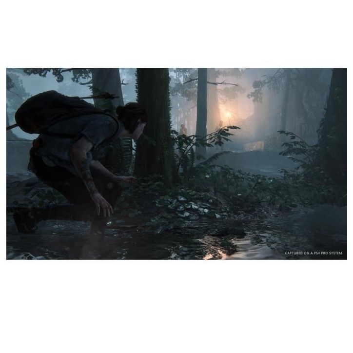 The Last of Us Part II Jeu PS4 - Compatible PS5