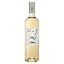 Terra Nostra 2024 - AOC Corse - Vin blanc