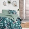 Parure de lit - TODAY - Sunshine - 119474 - 2 personnes - 260x240cm -