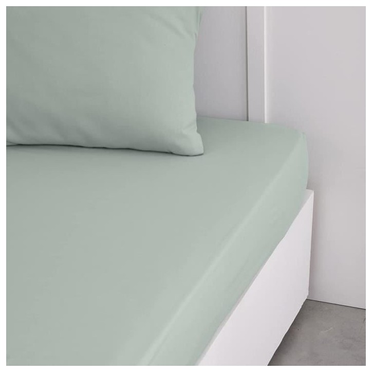 Drap housse TODAY Essential - 160 x 200+23 cm - 2 personnes - 100% Coton uni - Celadon
